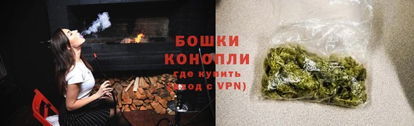 mdpv Вяземский