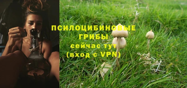 дмт Вязники