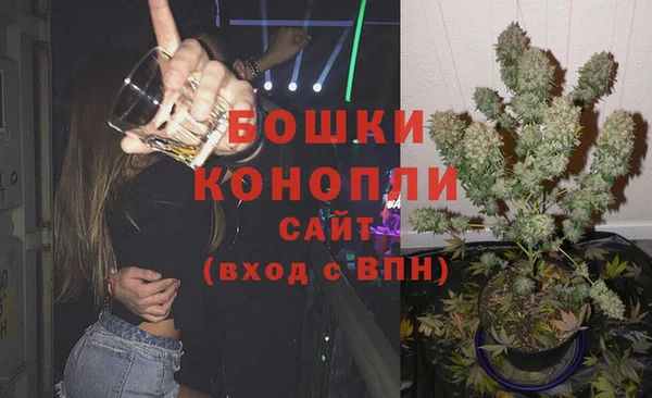 mdpv Вяземский